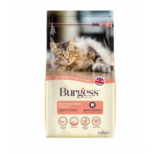 Burgess Adult Cat Scottish Salmon Dry Cat Food