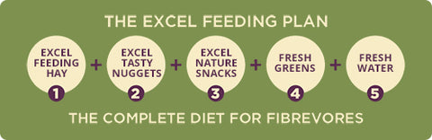 Burgess Excel Nuggets Feeding Plan