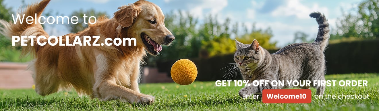 Best prices, happy pets