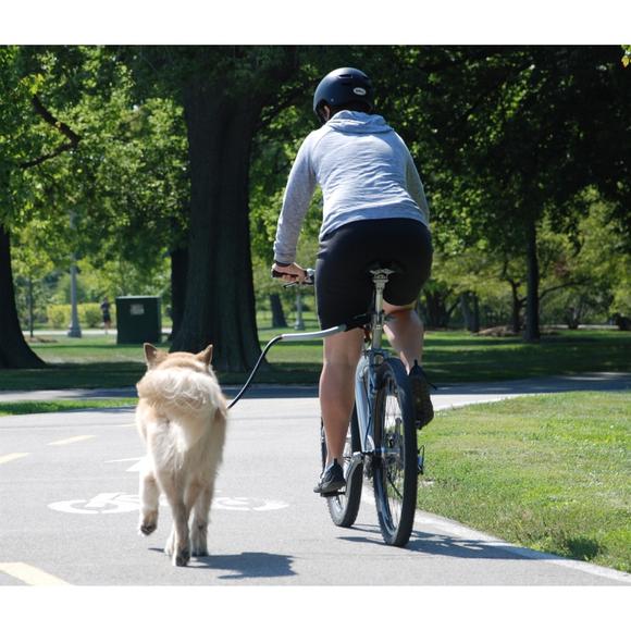 Petego Cycleash Universal Bicycle Leash For Dogs