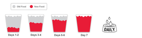 Hills Science Diet Cat Food Feeding Guide