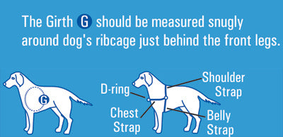 Gentle Leader Harness Girth Measurements