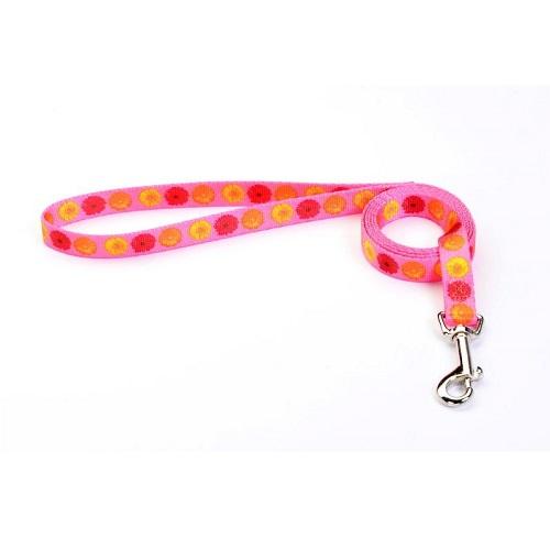Tufflock Dog Leash, (Daisies)