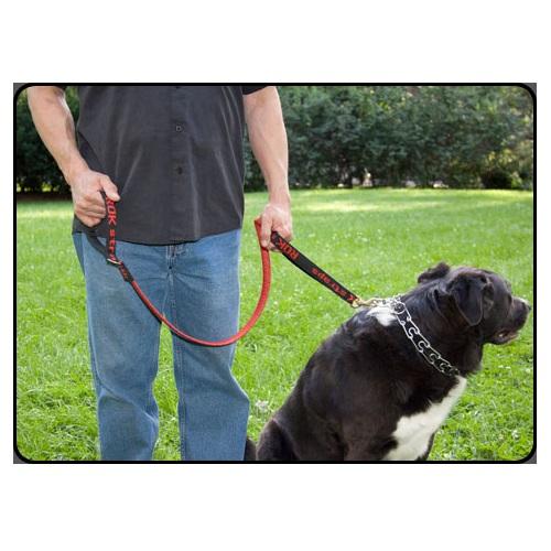 Rok Straps Dog Leash (Red)
