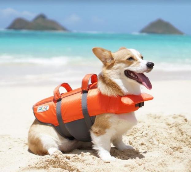 Outward Hound Granby Ripstop Life Jacket For Dogs
