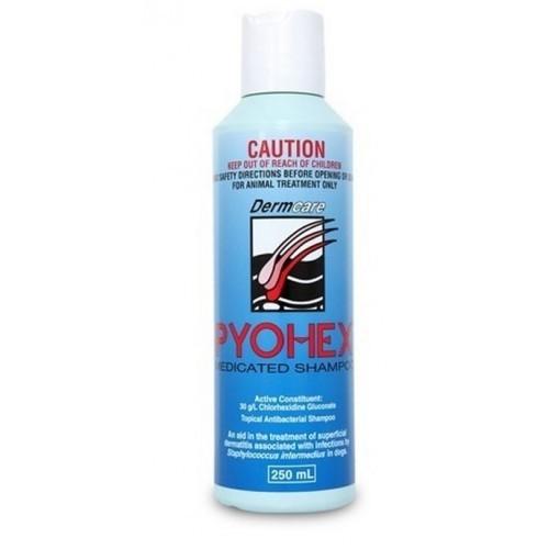 Dermcare Pyohex Medicated Shampoo For Dogs