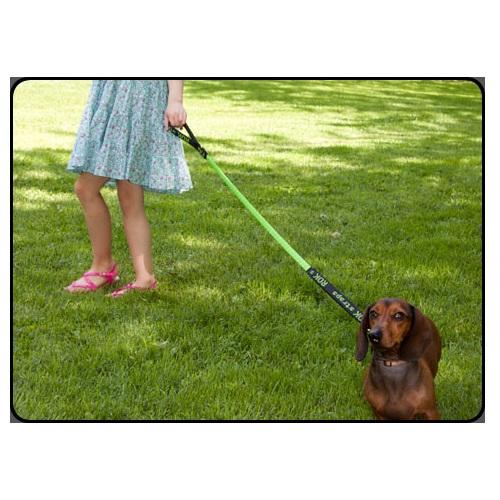 Rok Straps Dog Leash (Green)