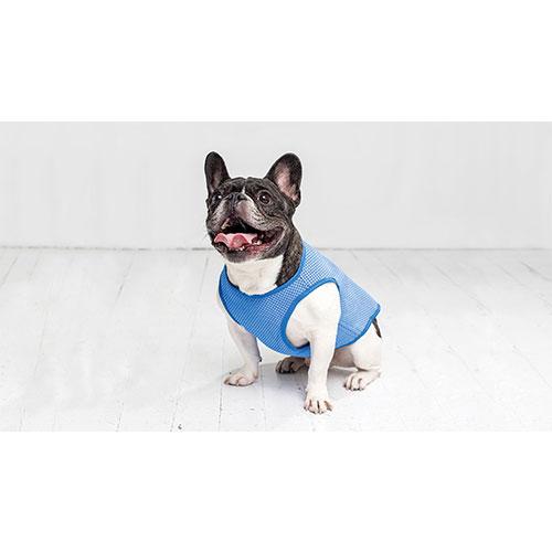 GF Pet Ice Vest Cooling Products For Dogs (Blue)