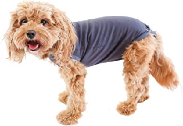 Belly Guard - Dog Recovery Onesie - Cone Alternative - After Surgery Wear