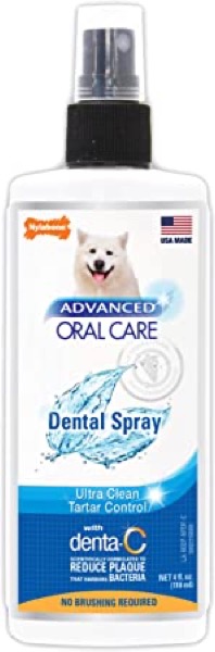 Nylabone Advanced Oral Care 4 oz Dog Dental Spray, Package may vary