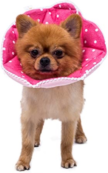 WZ PET Adjustable Dog Cat Cone,Soft Recovery Cat Cone Collar,Dog Protective Collar for Cats Surgery,Pink,Small,Medium