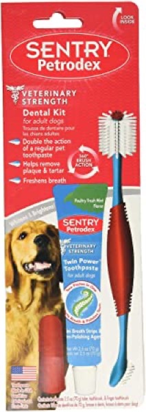 SENTRY Petrodex Dental Care Kit for Adult Dogs