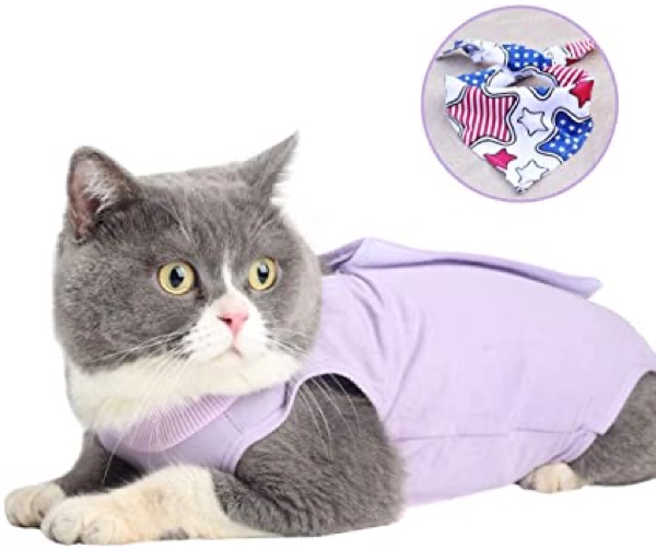 Cat Surgical Recovery Suit Abdominal Wounds or Skin Diseases, E-Collar Alternative,After Surgery Wear, Professional Home Indoor Pets Clothing