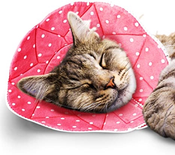 SunGrow Pet Recovery Cone, for 7 to 9 Inches Neck Circumference, Suitable for Puppies, Dogs and Cats, Post Surgery Stress Relieving Pillow Collar, with Adjustable Strap Enclosures for Small Breeds