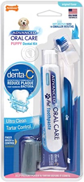 Nylabone Advanced Oral Care Dental Kit
