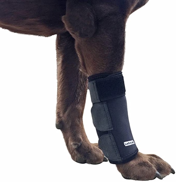 Labra Co. Dog Canine Front Leg Compression Brace Wrap Sleeve Protects Wounds Brace Heals and Prevents Injuries and Sprains Helps with Loss of Stability Caused by Arthritis