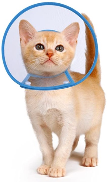 PETBABA Cat Cone Collar in Recovery, Clear Elizabethan Not Block Vision, Soft Padded E-Collar Protect Neck, Suitable Kitten Puppy Dog Pet in Surgery Remedy Grooming