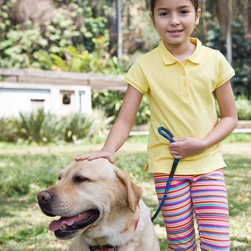 ¿A Qué Edad Se Puede Dejar que los Niños Paseen Solos al Perro?