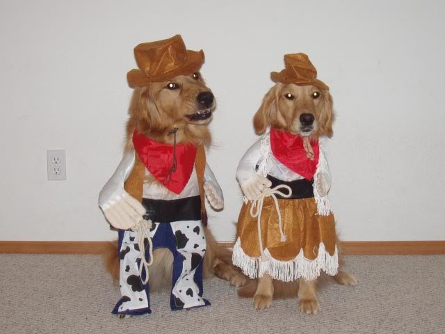 7 Versiones Country Caninas