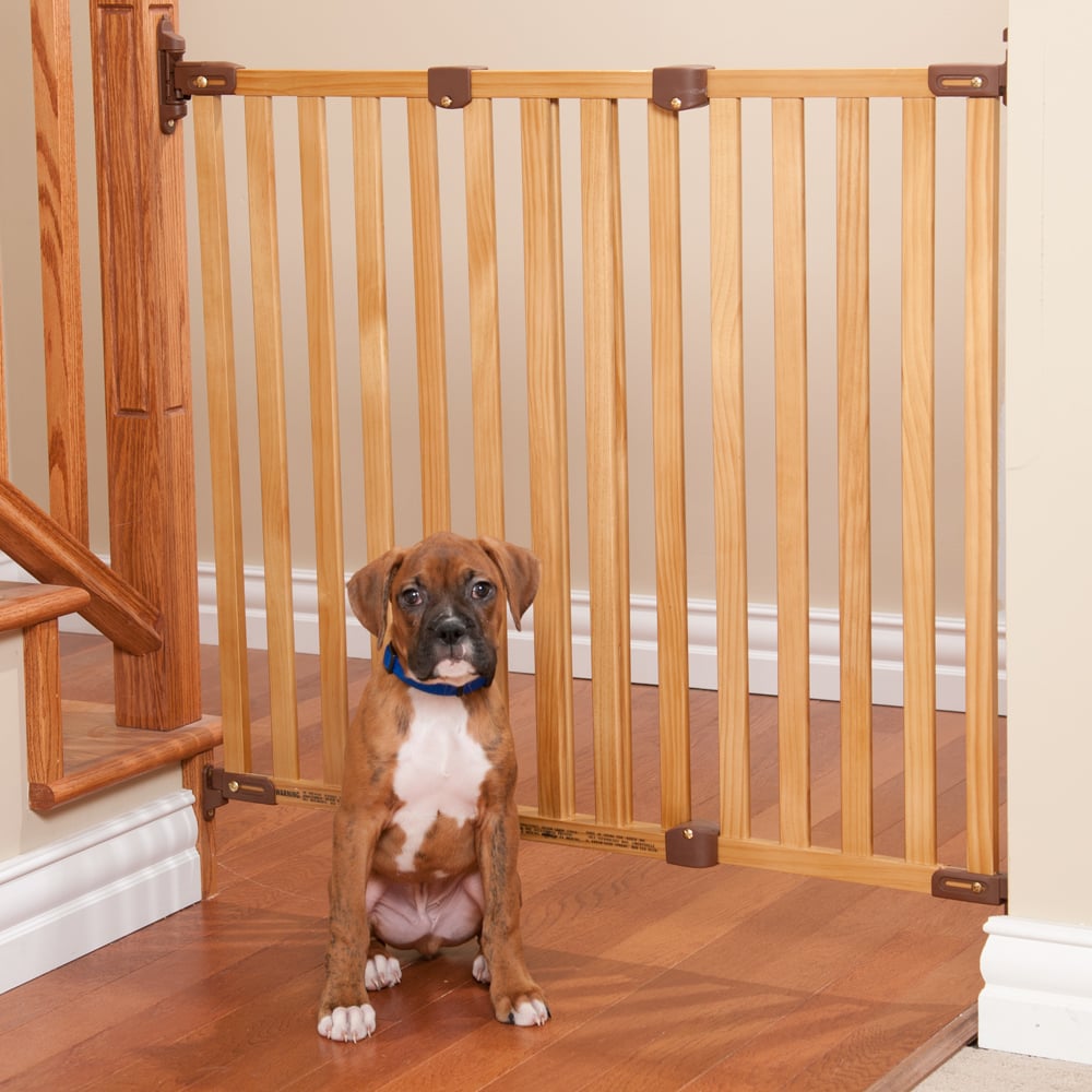 Cómo elegir una puerta para tu perro