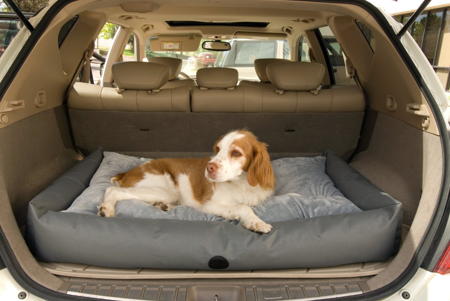 Camas para Perros en el Coche