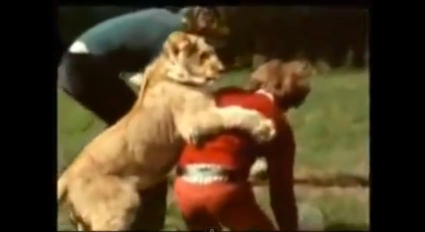 WATCH: The Love Between Humans And Their Pets Is Unbreakable