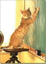 ¿Quién dejó entrar a este gatito al aula? Ese ruido hace que esto sea el peor show and tell de la historia.