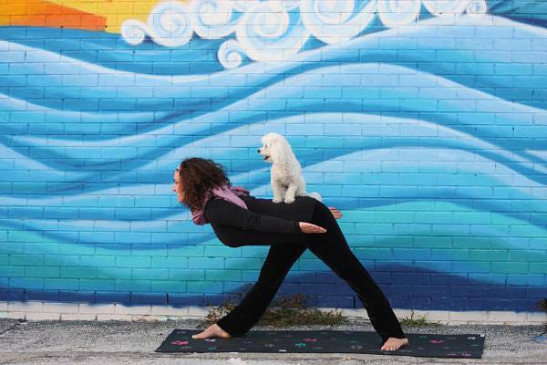 Doga