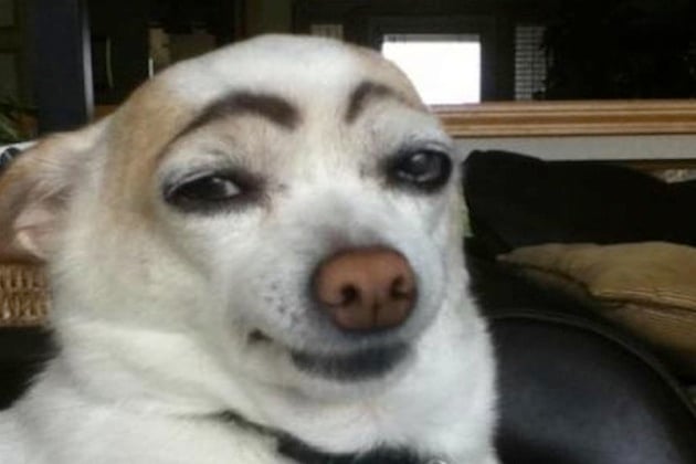 10 Not-So-Happy Snaps