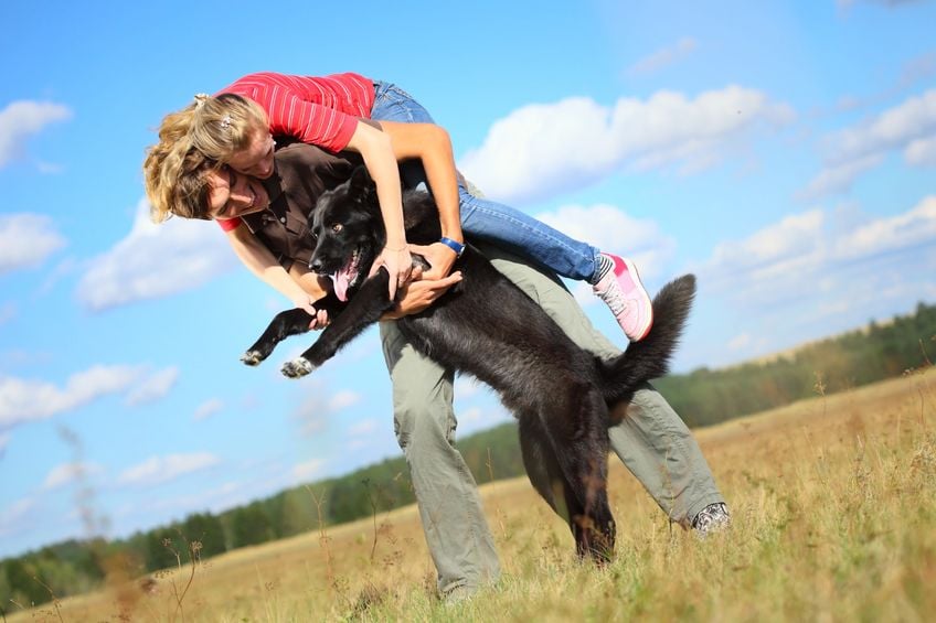 How to stop your dog from jumping on people
