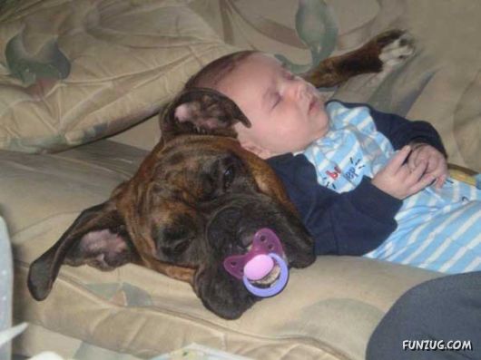 ¿Está tu hijo listo para asumir la responsabilidad de tener una mascota?