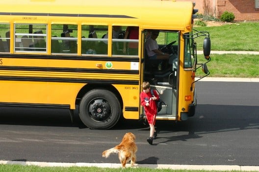 Back To School Separation Anxiety