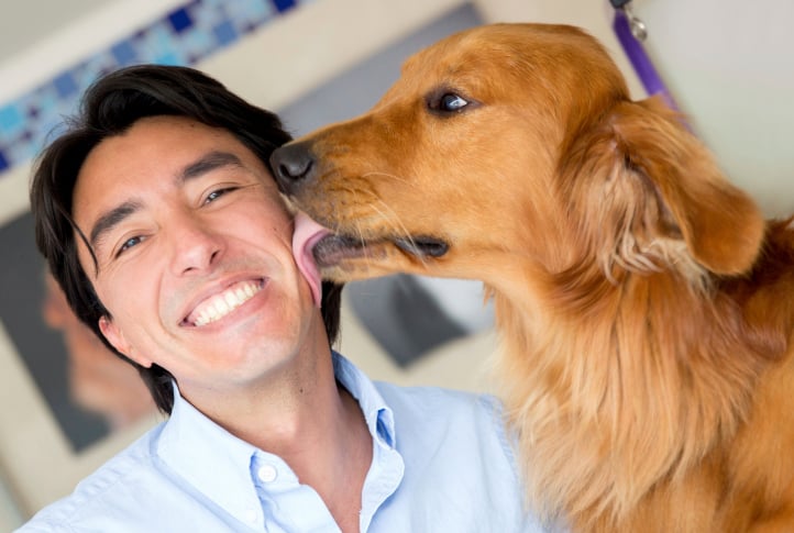Why dogs love to lick?