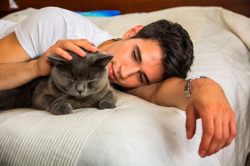 Six subtle signs your cat loves you