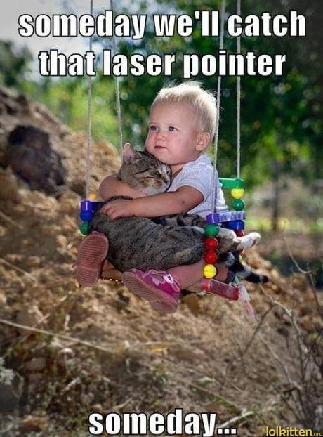 Niños y Gatos - Una Combinación Perfecta