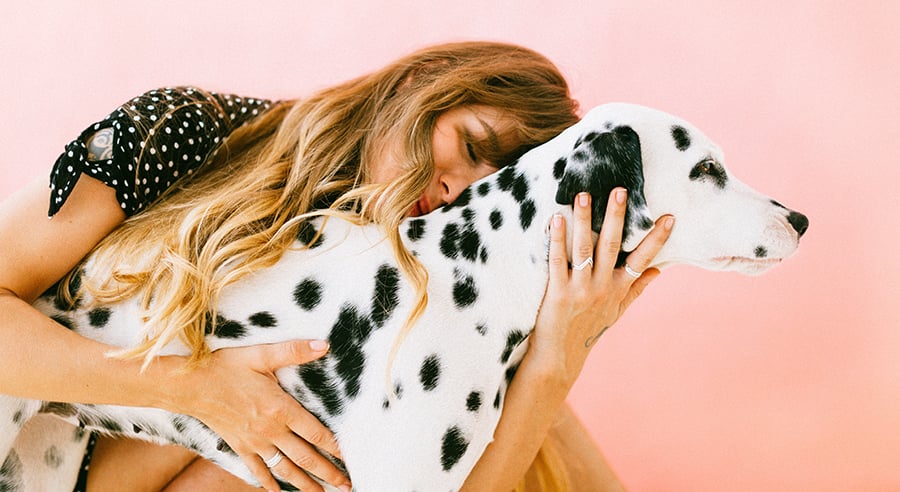 Is Bravecto safe for dogs?