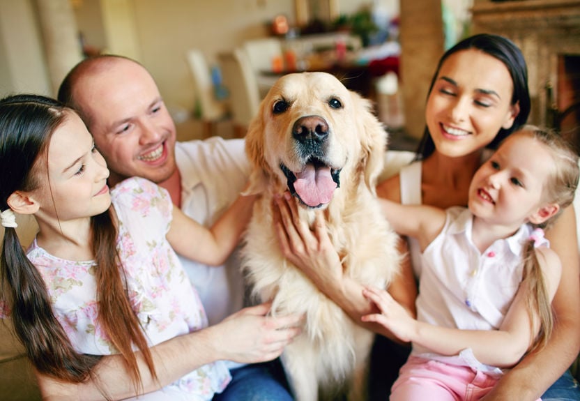 This is why we love our pets so much