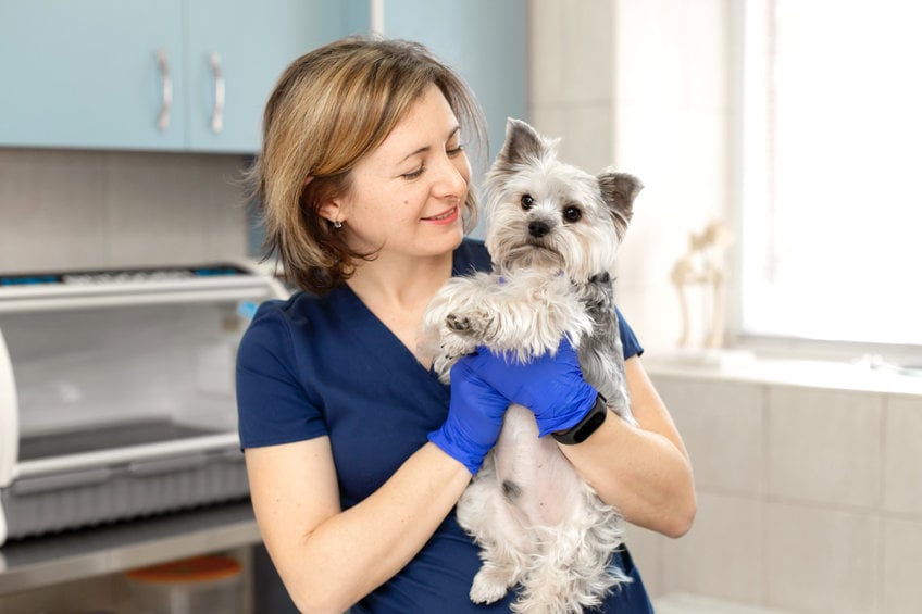 Five diseases that are totally preventable in dogs