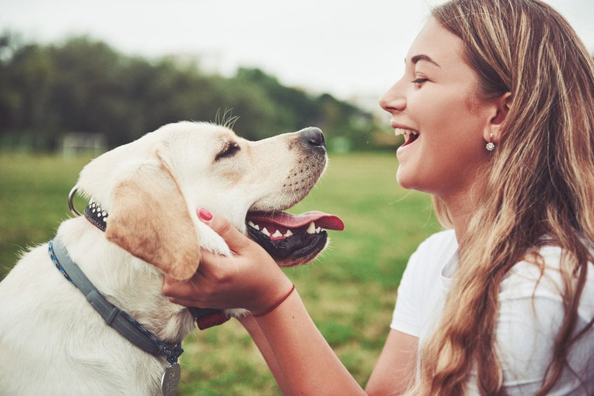 Why are dogs loyal?