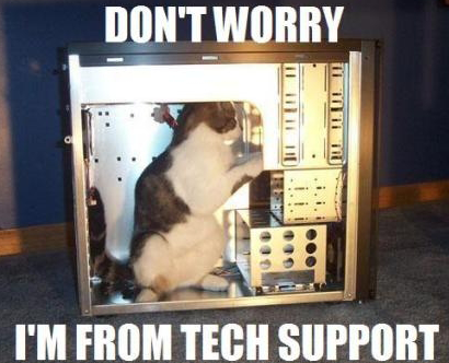 9 Gatos Super Adorables y Amantes de la Tecnología