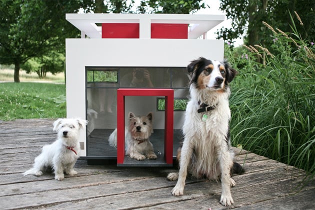 Casetas para Perros Súper Modernas