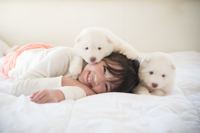 How to puppy proof your home