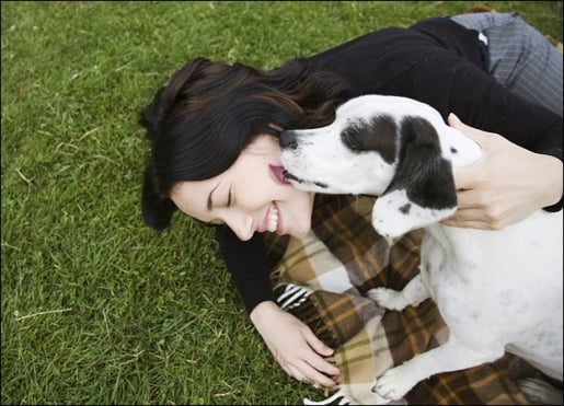 10 Artículos Útiles Para Dueños de Perros