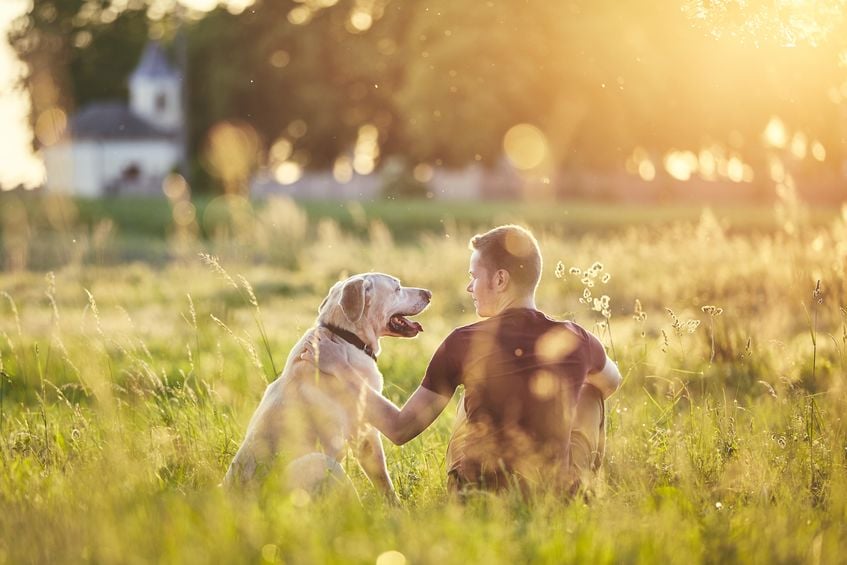 Five questions to ask yourself before adopting a pet