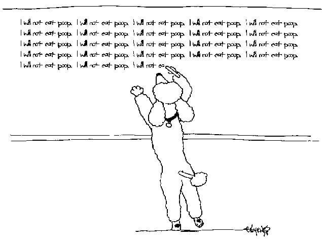¿Por qué los perros comen heces?