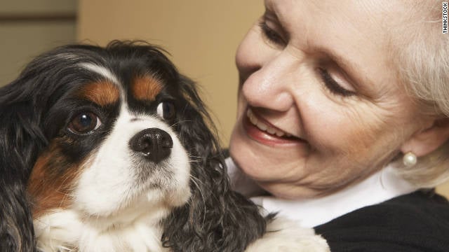 Mascotas y personas mayores: Todo lo que necesitas saber