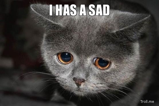 10 Razones por las que Mi Gato Llora