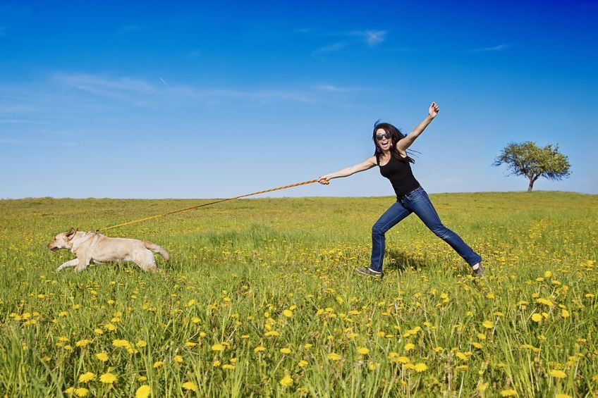 Help! My dog won’t listen to me