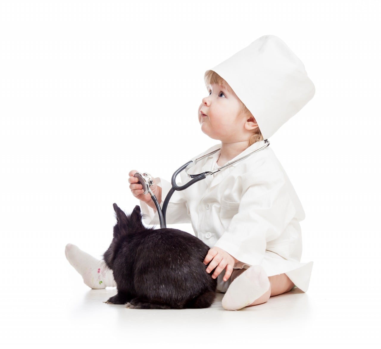 Investigando el seguro veterinario: cómo elegir una póliza [INFOGRAPHIC]