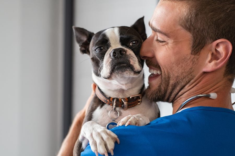 Guarding Your Canine Companion: Preventing and Treating Heartworm Disease in Dogs